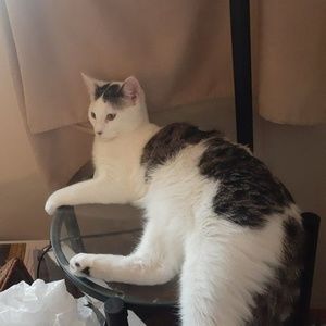 Meet your Posher, Alicia